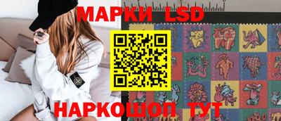 крисы Кулебаки