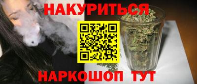 крисы Кулебаки