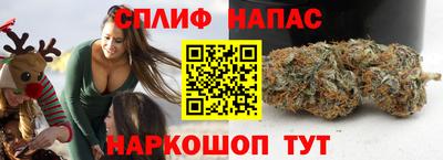крисы Кулебаки