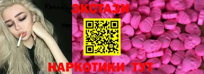 крисы Кулебаки